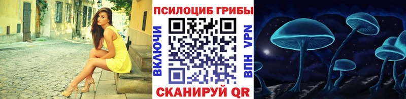 Купить закладки  Богданович  Псилоцибиновые грибы Cubensis 